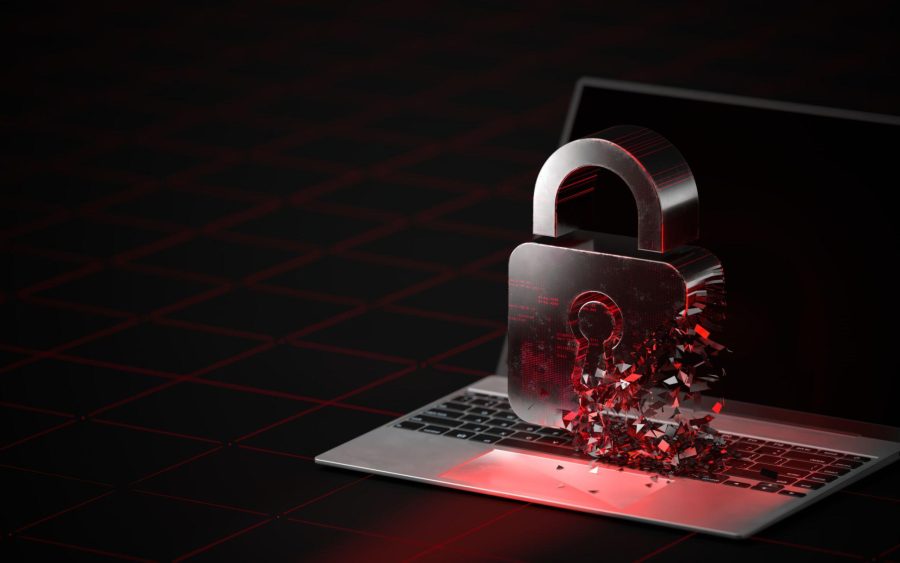 Human Cybersecurity Vulnerability What